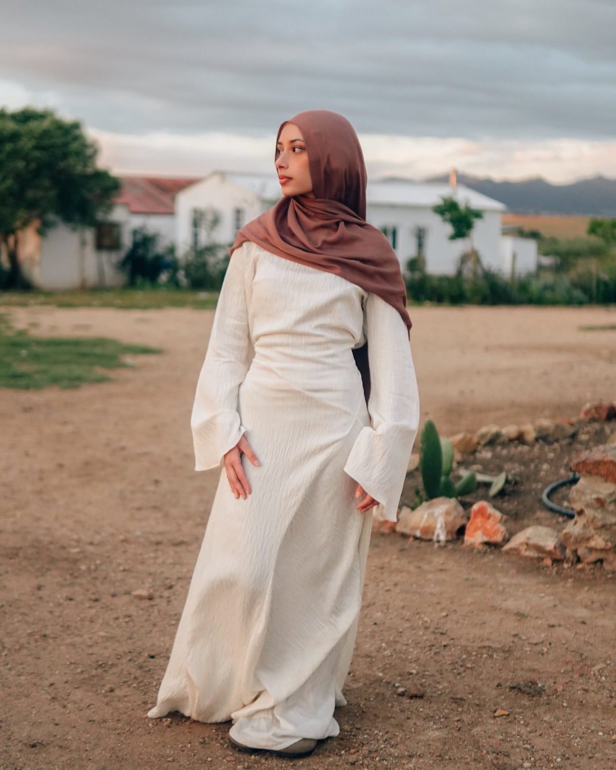 Zara Dress Natural