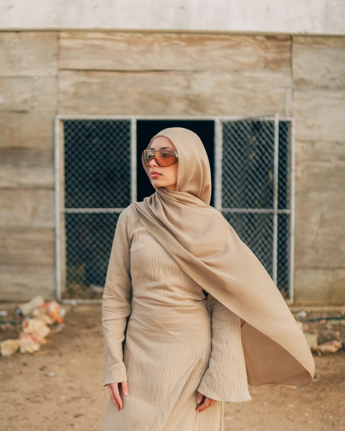 Zara Dress Oat